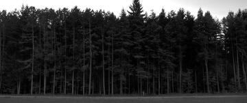 Foto im Vollbild