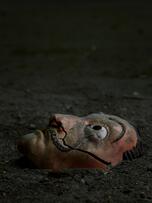 Foto im Vollbild