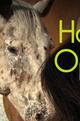 Horse Opera
