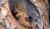 Hintergrund
