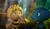 Hintergrund
