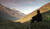 Hintergrund