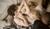 Hintergrund
