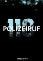 Foto im Vollbild