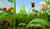 Hintergrund