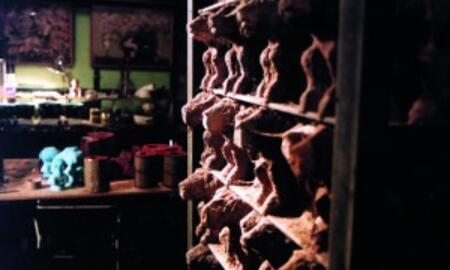 Galerie Foto