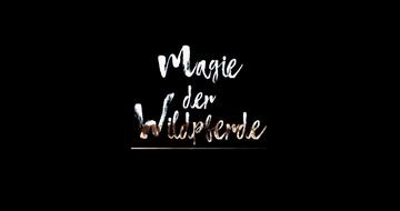Foto im Vollbild