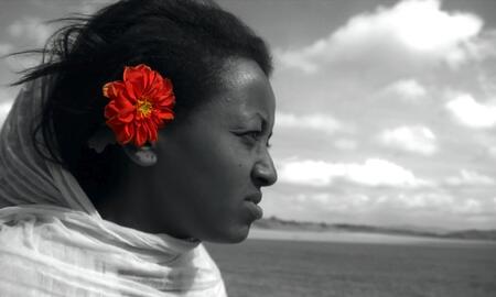 Galerie Foto