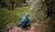 Hintergrund