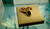 Hintergrund