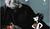 Hintergrund