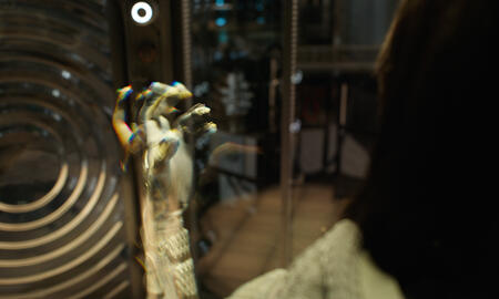 Galerie Foto