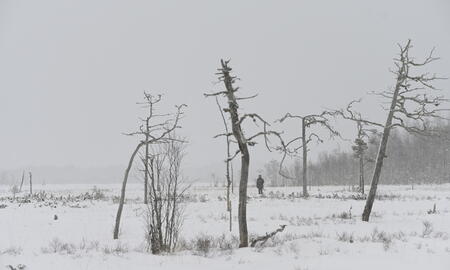 Galerie Foto