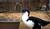 Hintergrund