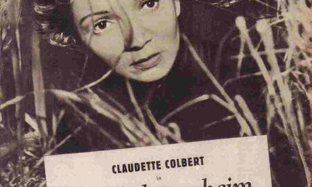 Galerie Foto