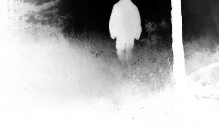 Galerie Foto