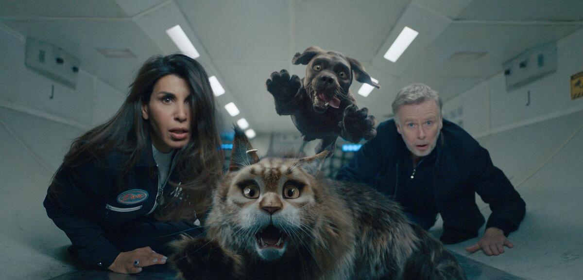 Miau & Wau - Trailer (Deutsch) HD