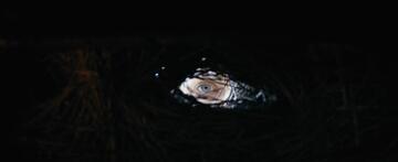 Foto im Vollbild