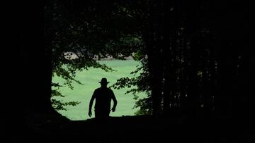 Foto im Vollbild