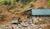 Hintergrund