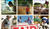 Hintergrund