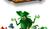 Hintergrund