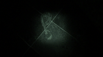 Foto im Vollbild