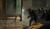 Hintergrund