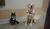 Hintergrund