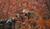 Hintergrund