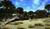 Hintergrund