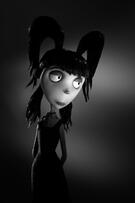 Foto im Vollbild