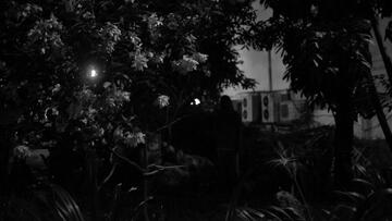 Foto im Vollbild