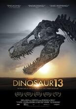 Dinosaur 13