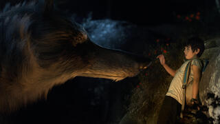 My Family and the Wolf