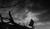 Hintergrund