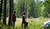 Hintergrund