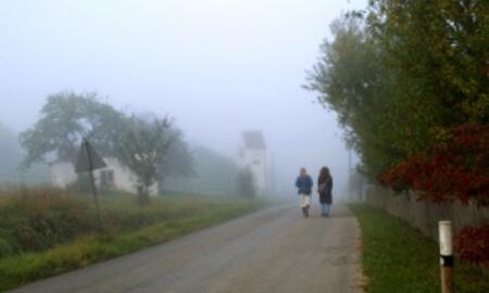 Galerie Foto