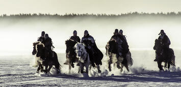 Bild zu: The Last King - Der Erbe des Königs Bild zu: The Last King - Der Erbe des Königs