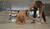 Hintergrund