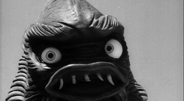 Foto im Vollbild