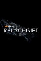 Foto im Vollbild