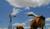 Hintergrund