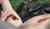Hintergrund