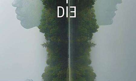 Galerie Foto