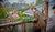 Hintergrund