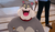 Hintergrund