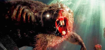 Bild zu:  Die Biber sind los - Zombiber