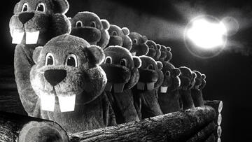 Foto im Vollbild
