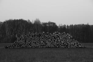 Foto im Vollbild